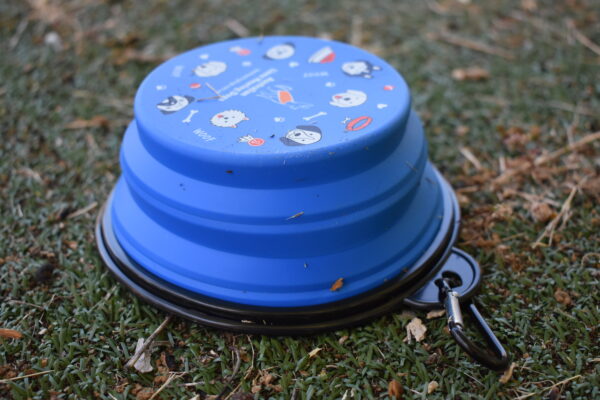 Travel Collapsible Silicone Dog Bowl - Image 3