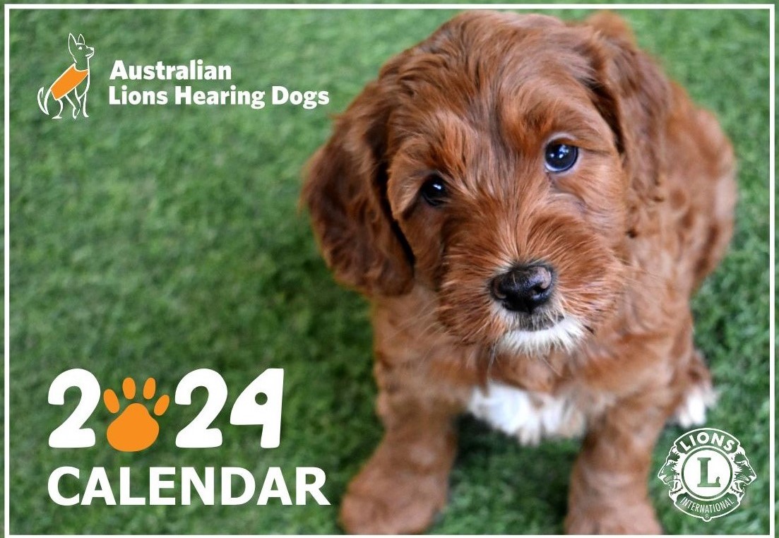 2024 Calendar Australian Lions Hearing Dogs