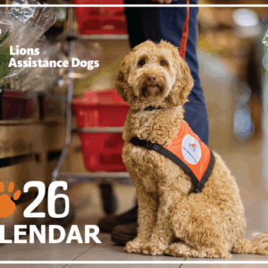 2026 Calendar